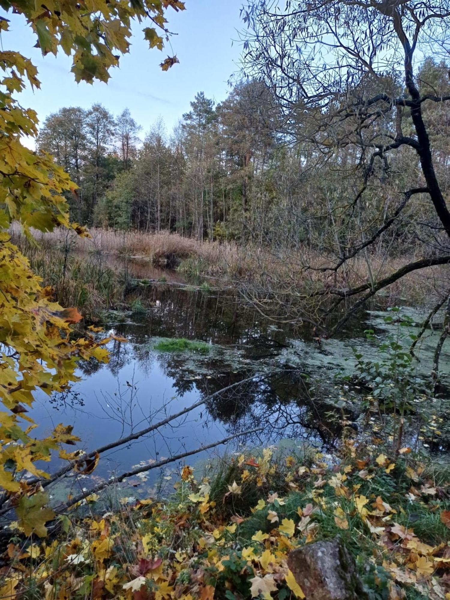 Osrodek Wypoczynkowy Koziol Hotel Kolno  Luaran gambar